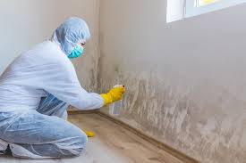 Best Mold Prevention Services  in Oreana, IL