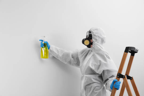 Mold Documentation for Insurance Claims